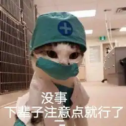 斗图表情包精选合集左青龙右白虎,把你削成二百五 斗图表情包精选合集左青龙右白虎,把你削成二百五