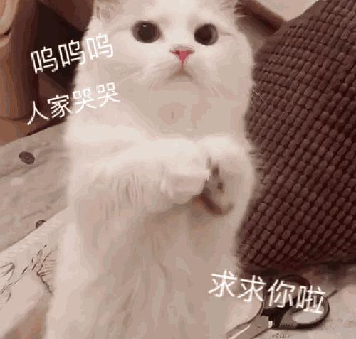  清流,绿皮书到底好不好看啊