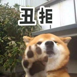  3元一斤的狗粮,幕后竟涉千万赃款
