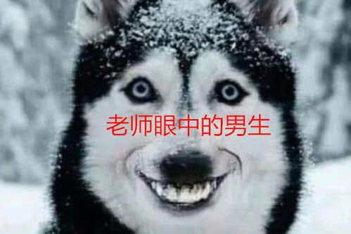  老师vs男生vs女生,对比内容过于真实,网友扎心了,老铁女人
