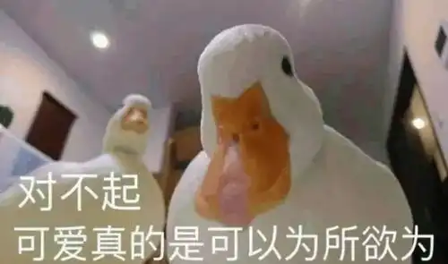  王思聪买鸭子全民热议,他是准备开动物园吗