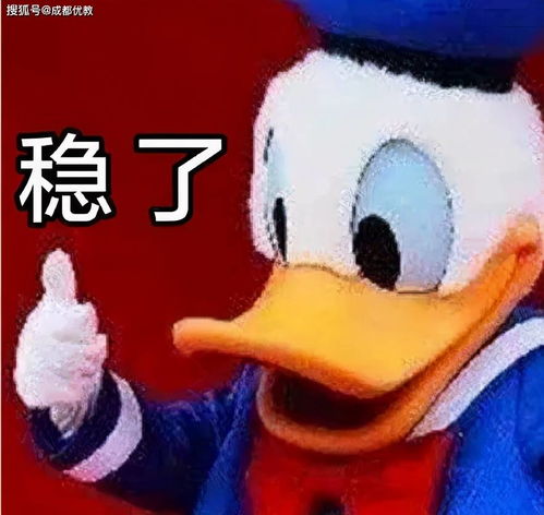  教育高配高新区中央公园旁的小学来了这些楼盘家庭喜大普奔