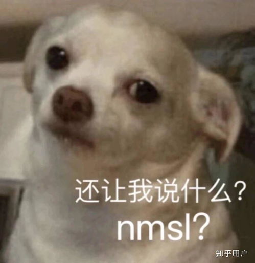  选择男朋友时,通过哪些方面看他的人品和责任心呢