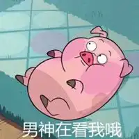 里四猪猪表情包微信头像图片大全 里四猪猪表情包微信头像图片大全