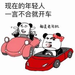  关于开车的表情包合集我可以约你一起开车吗