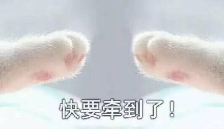  牵宝宝的手套路表情包合集牵手成功牵手失败