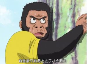  看完这篇文章,没看过漫画也能看懂真人版银魂
