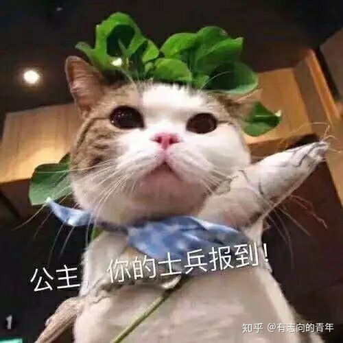 恋爱中的表情包表情