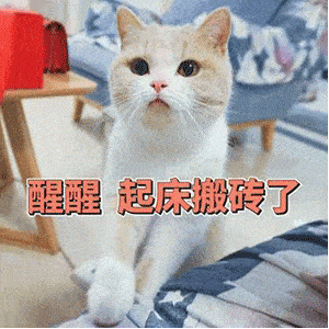  小辽说天气阳光羞涩绵绵秋雨几时休