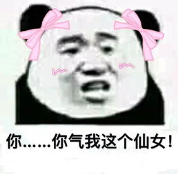 十条段子我家老鼠多,我不要路由器,还是送我只猫吧 十条段子我家老鼠多,我不要路由器,还是送我只猫吧