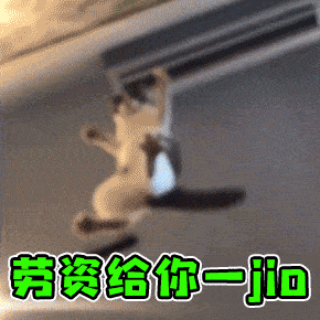 动态表情包 动态表情包