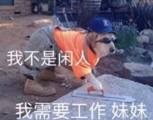  为了单身到底有多拼月老给我牵的钢筋我都能掰断哈哈哈