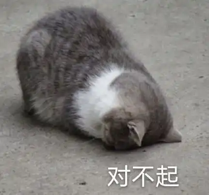 一大波猫咪表情包,快收藏吧 一大波猫咪表情包,快收藏吧