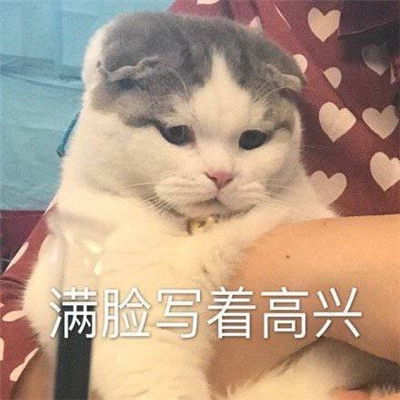  心情很好满脸写着开心的表情包