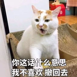  撤回表情包撤回微信表情包撤回qq表情包发表情fabiaoqing.com
