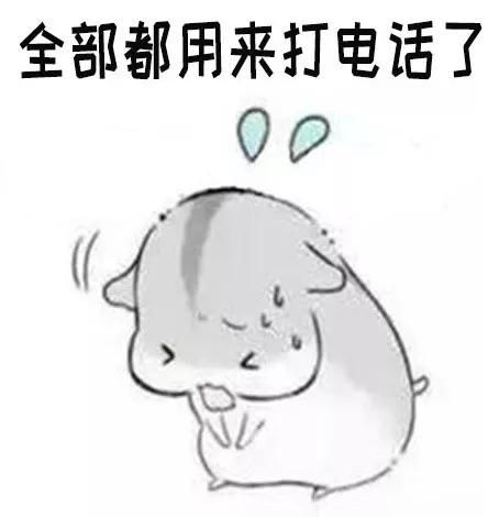  仓鼠打电话表情包你先别挂电话啦