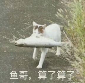  烂大街表情包下载网上超火的烂大街表情包搞笑图片高清无水印免费分享下载v1.0安族软件网