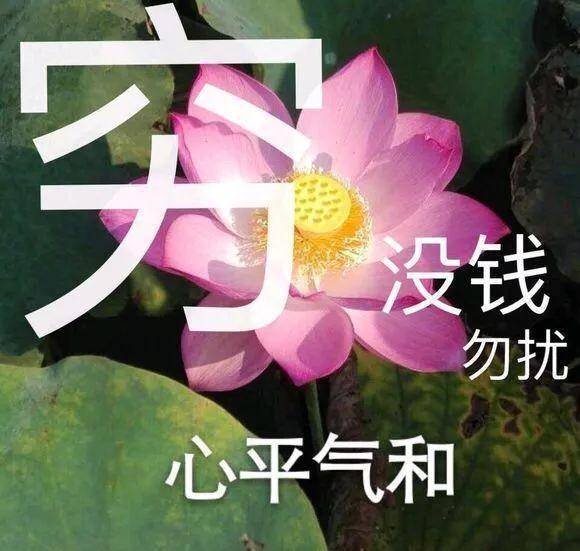  e句话看天下丨霉霉和水果姐不塑料姐妹花了