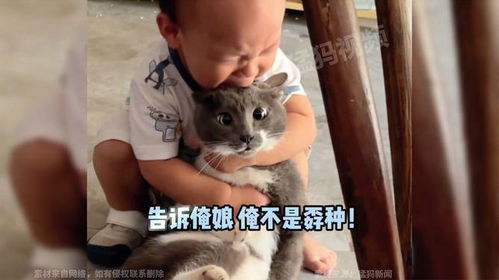  小孩崩溃抱猫大哭,猫咪表情亮了,猫他说的都是我的词