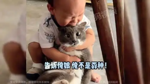 小孩崩溃抱猫大哭,猫咪表情亮了,猫他说的都是我的词 小孩崩溃抱猫大哭,猫咪表情亮了,猫他说的都是我的词