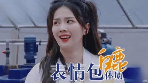  这些年的感情终归是错付了