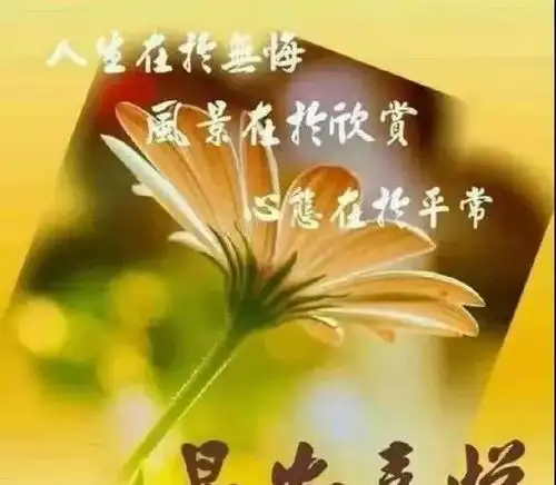 新的一周早上好问候语句子和图片中老年人早晨祝福表情包 新的一周早上好问候语句子和图片中老年人早晨祝福表情包