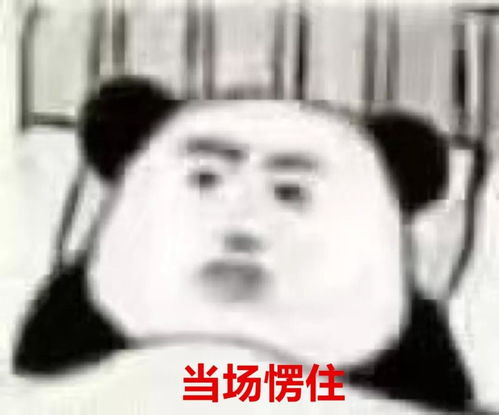  人民需要什么,五菱就造什么