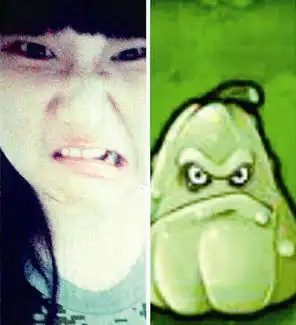 这款植物大战僵尸全明星我承包了 这款植物大战僵尸全明星我承包了