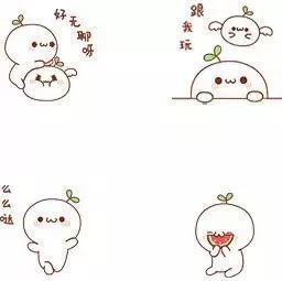  关于ip,你了解多少