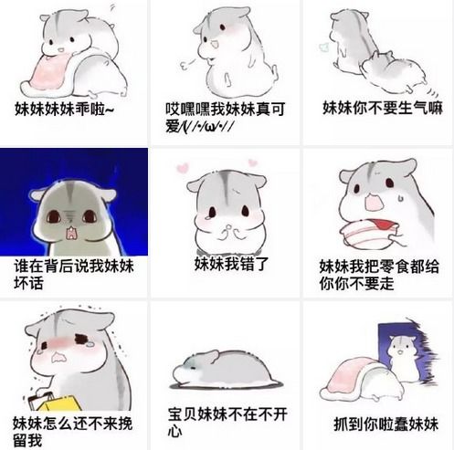 仓鼠表情包妹妹中文版下载hamham仓鼠妹妹表情包最新版腾牛下载 仓鼠表情包妹妹中文版下载hamham仓鼠妹妹表情包最新版腾牛下载