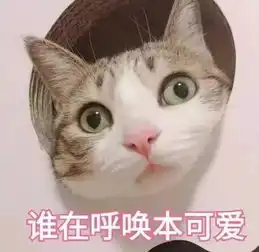  表情包丨谁在呼唤本可爱
