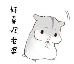  仓鼠表情包别怕,老公在呢