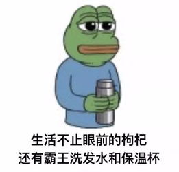  今天是七夕,想带女朋友去玩点新鲜的或者浪漫的,显得我不那么老土,有好推荐吗