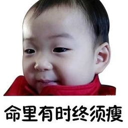 胖瘦表情包美丑