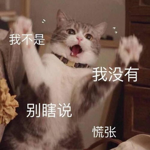  有哪些看着很爽的社交猖狂症文案