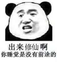  不睡觉修仙什么意思不睡觉修仙表情包