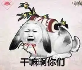 剑网三表情包放大版 剑网三表情包放大版