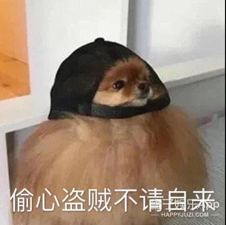摸着良心说话的表情包空
