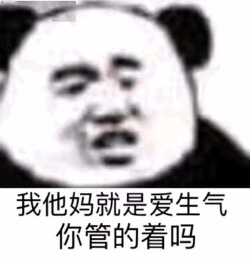  熊猫头表情包想当年我也是叱咤风云的拽姐