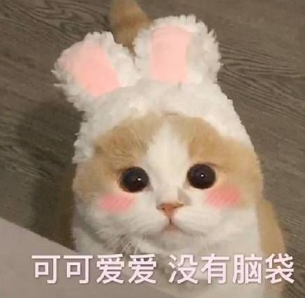  天气回暖的骚话文案,保证看完春心荡漾小鹿乱撞