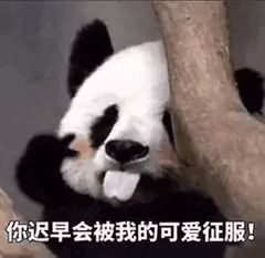  火出圈了央媒省媒纷纷关注这段偷拍