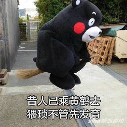  王者荣耀斗图表情包第七十三期让开我能五杀