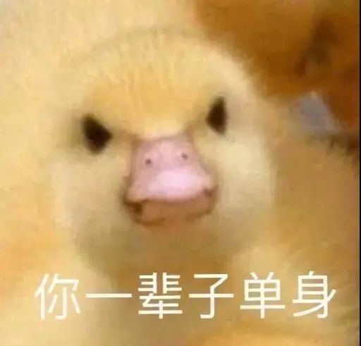  无标题