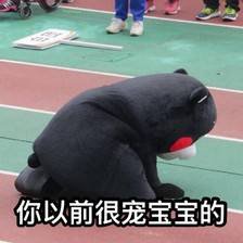  急主人说去雄安炒房了,留我一只狗在家饿肚子