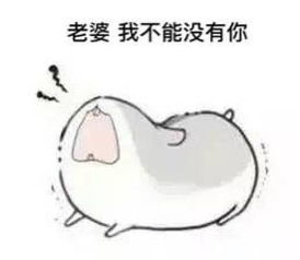  有没有跟对象聊天的表情包