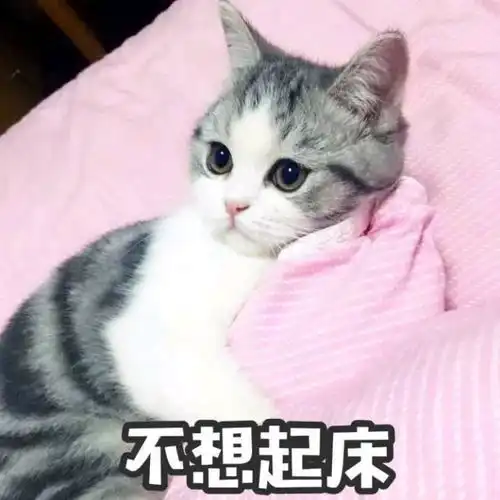 开心一刻以前有个哥们喝酒特别厉害,跟我们喝酒都狂得没边了 开心一刻以前有个哥们喝酒特别厉害,跟我们喝酒都狂得没边了