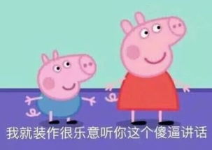  日常互动表情包合集