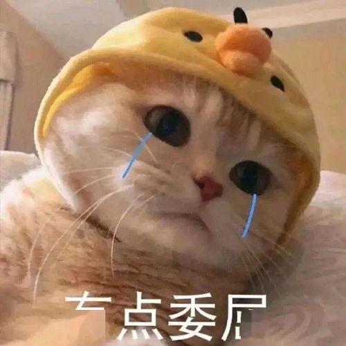  沙雕表情包新年好啊新年快乐