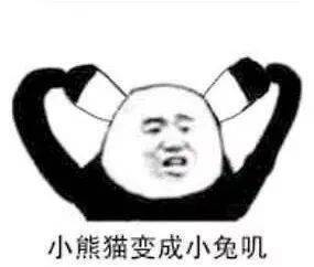 搞怪熊猫表情包小熊猫