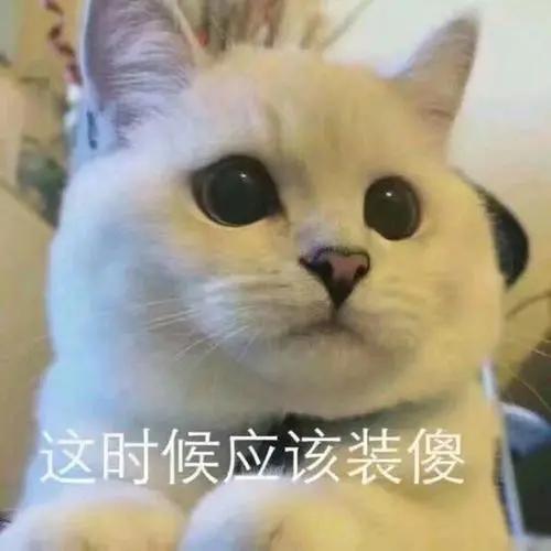  英美大pk6大留学体验,真实到想哭......